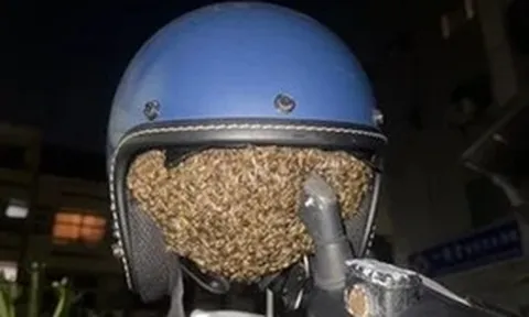 Treo mũ bảo hiểm qua đêm, người phụ nữ sốc nặng khi thấy cảnh tượng "nổi da gà"