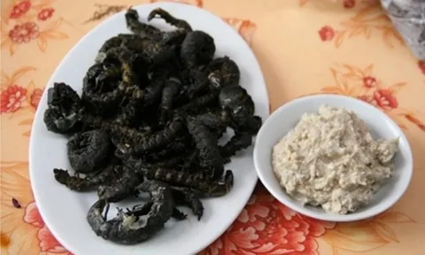 Con vật nhìn "sợ phát khóc" ở Tây Bắc xưa không ai ngó, nay thành món lạ, dân nhậu săn lùng