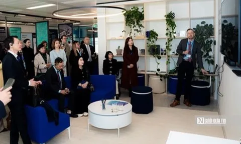 Việt Nam – Vương quốc Anh tăng cường trao đổi kinh nghiệm trong chăm sóc y tế dự phòng