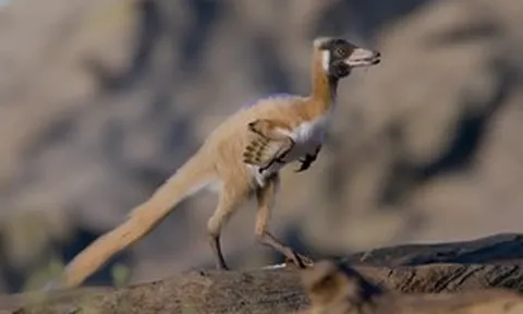 Loài khủng long “mini” chỉ dưới 1kg vừa được phát hiện, ngoại hình khiến nhiều người ngỡ ngàng