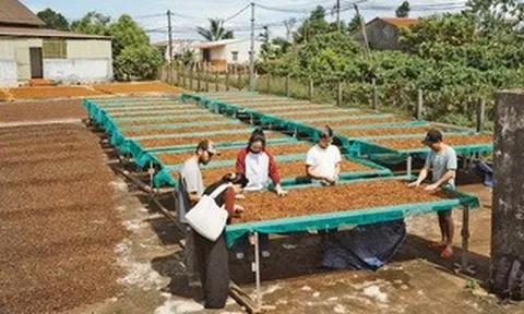 CÚ HÍCH NĂM DU LỊCH QUỐC GIA: Định hình bản sắc du lịch liên vùng