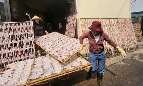 Từ mẻ cá quê đến thương hiệu OCOP: Hành trình “đánh thức” hải sản biển