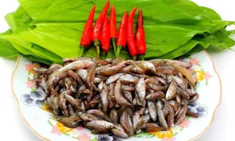 Loại cá "nhà nghèo" xưa ra đồng bắt về ăn, nay thành đặc sản ngon và hiếm giá 400.000 đồng/kg vẫn hút khách