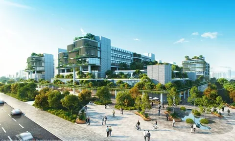 Mitsubishi Motors Vietnam Nha Trang City Trail 2026: Đánh thức 5 giác quan bằng hành trình từ phố biển đến đỉnh núi thiêng