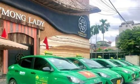 Ngân hàng siết nợ 5 chiếc xe của Taxi Mai Linh