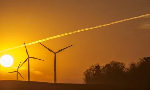 Đằng sau sự cố với cánh turbine khiến trang trại điện gió 48 MW phải ngừng hoạt động