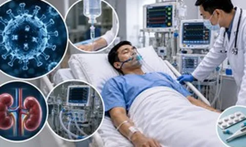 Nhiễm virus Hanta từ chuột: Nguy cơ suy đa tạng và những lưu ý điều trị sống còn