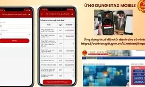 Hơn 95% hồ sơ hoàn thuế tự động, vì sao tiền chưa về tài khoản?