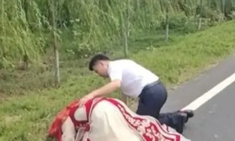 Đang rước dâu, cô dâu bất ngờ xuống xe quỳ lạy bên vệ đường