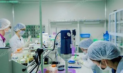 Mỹ phẩm Việt Hương vừa bị thu hồi 511 sản phẩm là công ty nào?