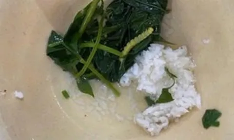 Xác minh thông tin 'vật thể lạ trong thức ăn' của sinh viên ở Huế