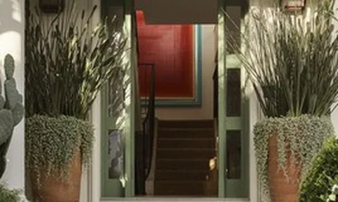 Chuyên gia phong thủy: Đây là 3 loại cây không nên đặt trước cửa nhà