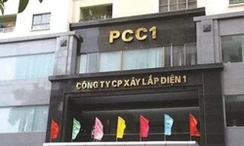 PC1 kinh doanh ra sao trước khi Chủ tịch cùng 6 lãnh đạo bị khởi tố?