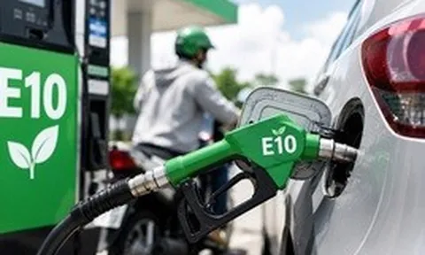 Vì sao giá xăng sinh học E10 rẻ hơn xăng khoáng?