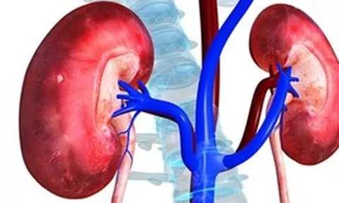 Bác sĩ tiết niệu cảnh báo: Nhiều quả thận bị hỏng “oan uổng” chỉ vì những sai lầm rất phổ biến