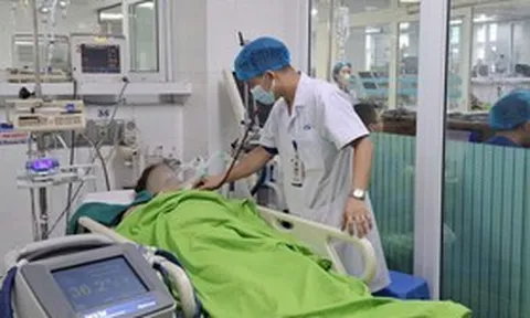 Gặt lúa giữa nắng nóng, 2 người đàn ông bị sốc nhiệt, suy đa tạng phải cấp cứu
