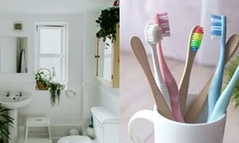 Nhiều gia đình đang để bàn chải đánh răng kiểu này mà không biết: Có nguy cơ “nuôi ổ vi khuẩn” ngay trong nhà tắm