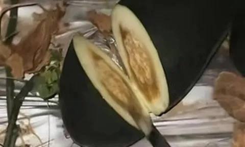 Nghề lạ: Cầm thanh sắt đi "gõ dưa" lúc nửa đêm người đàn ông kiếm gần 400 triệu đồng/tháng