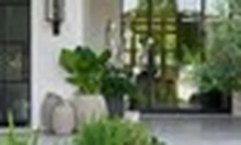Lời khuyên dành cho những gia đình trồng cây trước nhà