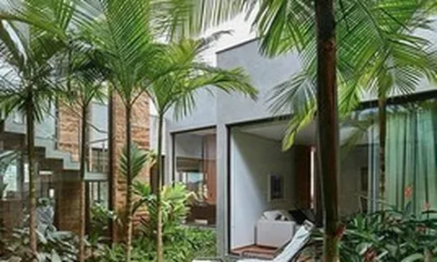 Vì sao người xưa dạy trồng "cau trước, chuối sau"?