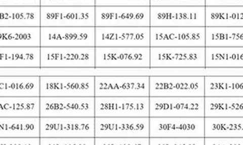 121 chủ xe máy, ô tô mang biển kiếm soát sau khẩn trương nộp phạt nguội theo Nghị định 168 trong danh sách mới nhất