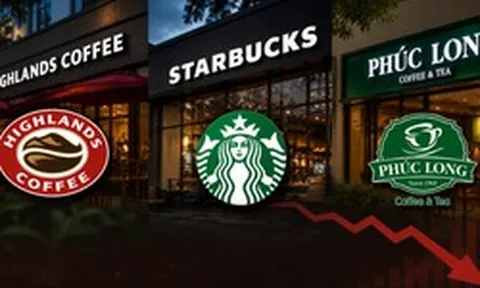 Highlands, Starbucks, Phúc Long giảm điểm trên bảng xếp hạng ẩm thực và đồ uống