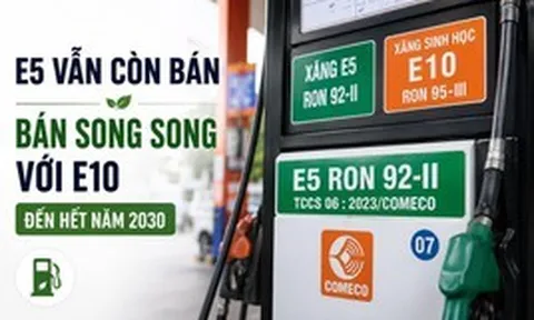 Xăng E5 bỗng dưng "đắt hàng", nhiều chủ xe đời cũ săn lùng: Bộ Công Thương nói gì?
