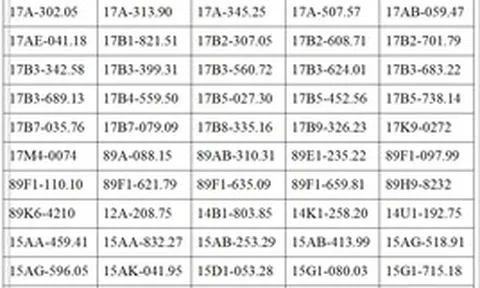 Tất cả chủ phương tiện vi phạm mang biển số sau nhanh chóng nộp phạt nguội theo Nghị định 168