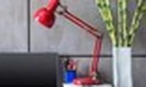 9 loại cây tốt nhất nên để trên bàn làm việc