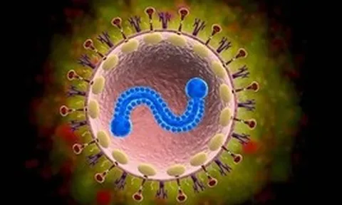 Bác sĩ Bạch Mai cảnh báo: 1 loại virus nhiều người tưởng chỉ trẻ em mới mắc, người già nhiễm dễ viêm phổi, suy hô hấp