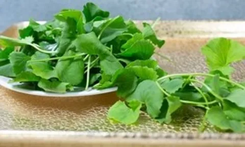 Chống nắng nội sinh tự nhiên: Đây là bát canh nấu cực dễ, ăn vào da mát rượi không sợ bắt nắng, mụn bọc lặn thin thít