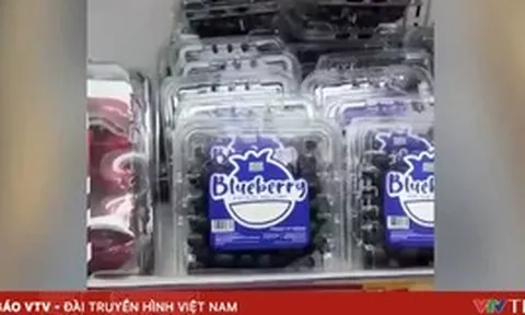 Gần 19 tấn việt quất nhập lậu được hợp thức hóa nguồn gốc để vào siêu thị