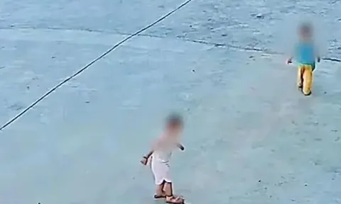 Hai đứa trẻ vô tình giẫm trúng rắn hổ mang và cái kết