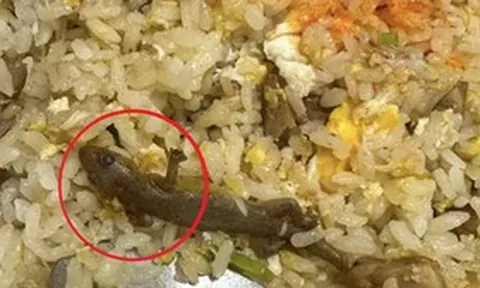 Đang ăn cơm rang, cô gái sốc khi thấy thứ "đáng sợ" trong đĩa