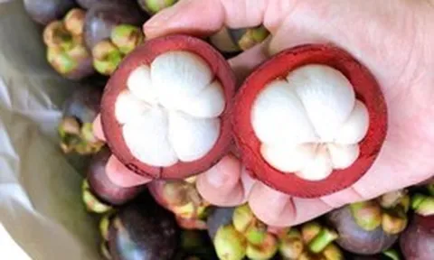 Măng cụt được ví là "nữ hoàng trái cây": Nhiều lợi ích nhưng có 5 nhóm người nên hạn chế ăn