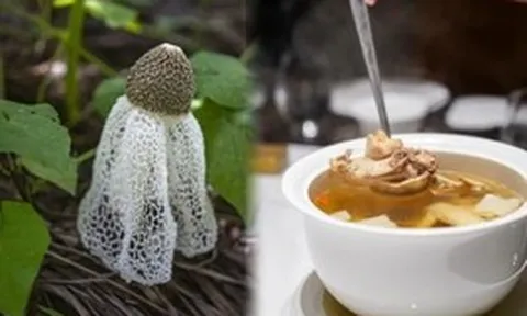 Thực phẩm chứa kali gấp 42 lần chuối, hấp hay luộc đều ngon: Nên ăn nhiều vào tháng 7 để hỗ trợ tiêu hóa, bảo vệ gan, giảm mệt mỏi, tăng miễn dịch