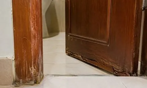 Vì sao ngày càng nhiều gia đình không còn làm cửa nhà vệ sinh bằng gỗ? 2 vật liệu chịu ẩm tốt đang dần trở thành xu hướng mới