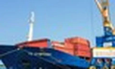 Trung Quốc, Nhật Bản báo tin vui cùng lúc đến Việt Nam