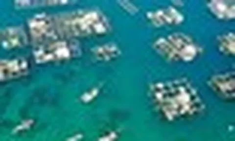 Mỹ, Trung Quốc đua nhau mua một ‘mỏ vàng' của Việt Nam: Vừa thu về hơn 2,8 tỷ USD, nước ta đứng thứ 2 thế giới
