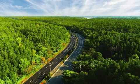 5.000 runner “đánh thức” Cần Giờ tại VnExpress Marathon Green Paradise dịp 30/4 – 1/5