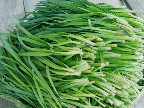 Lá hẹ - Loại rau nhỏ mà có võ, hỗ trợ phòng chống ung thư, tốt cho sức khỏe