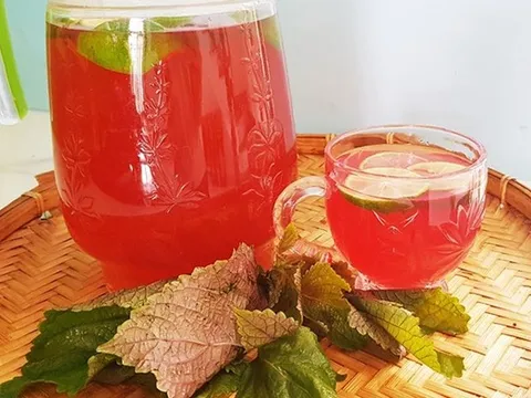Những người "đại kỵ" với nước lá tía tô, biết mà tránh kẻo rước hoạ