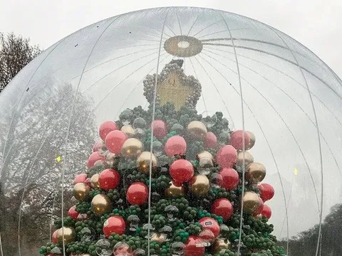 Cây thông kỳ lạ bậc nhất mùa Giáng sinh năm nay ở Anh