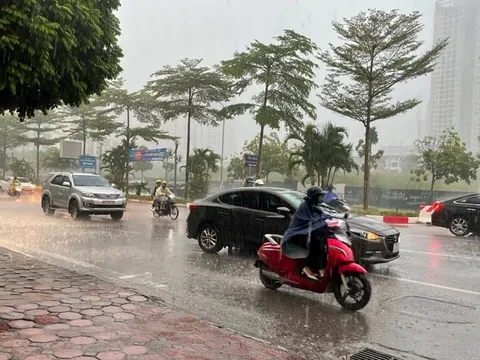 Tin gió mùa Đông Bắc mới nhất: Miền Bắc sắp có mưa rào trong nhiều ngày liên tiếp