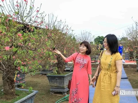 Tận hưởng Tết trọn vẹn, chuyên gia tim mạch cảnh báo 5 điều tránh đột quỵ