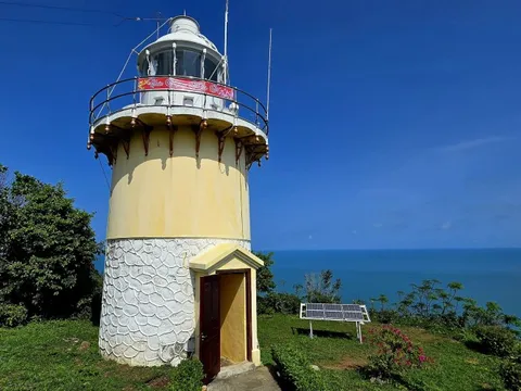 Canh “mắt biển” trăm tuổi trên đỉnh Sơn Trà