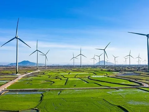 Một công ty điện gió thuộc Trung Nam Group tăng vốn gấp 68 lần