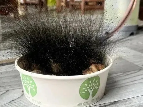 Để quên bát cơm khi nghỉ Tết, người đàn ông sốc nặng khi đi làm trở lại