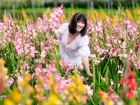 Vườn hoa lay-ơn nở muộn bất ngờ trở nên rất hot ở Đà Lạt