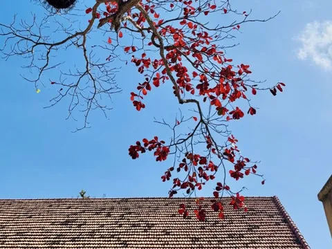 Hình ảnh Côn Đảo vào "mùa đẹp nhất năm"